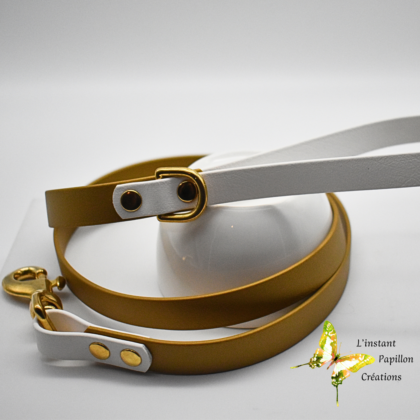 Laisse Biothane® bicolore