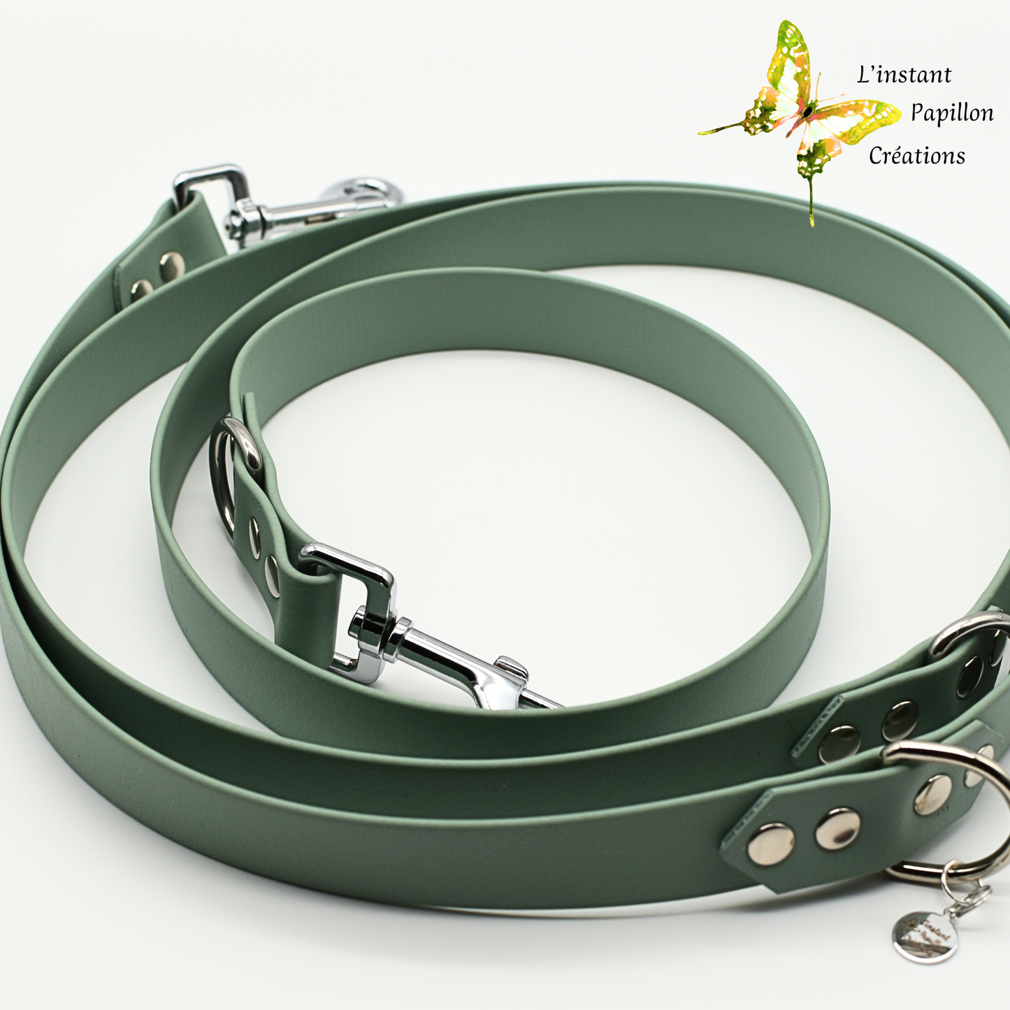 Laisse Biothane® trois positions