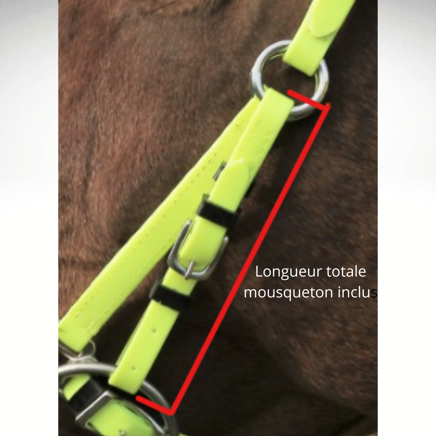 Montants Biothane® pour mors
