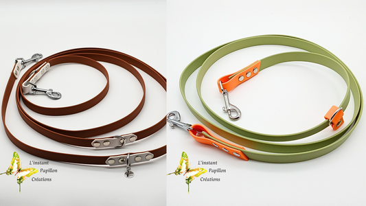 Laisse trois positions VS laisse multi positions