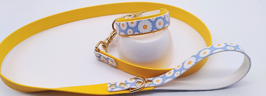 Le Biothane® - son histoire