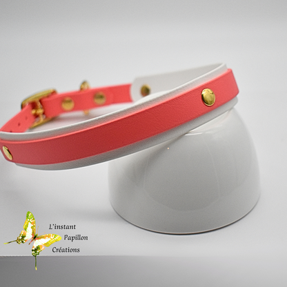 Collier Biothane® doublé