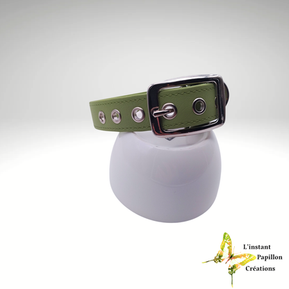 Collier Biothane® avec oeillets personnalisable