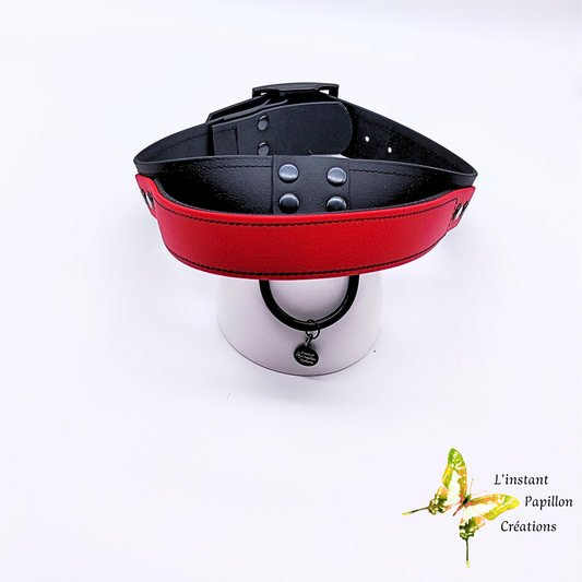 Collier d'intervention bicolore en Biothane®