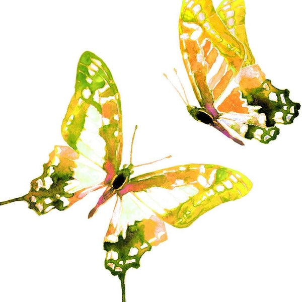L'Instant Papillon Créations