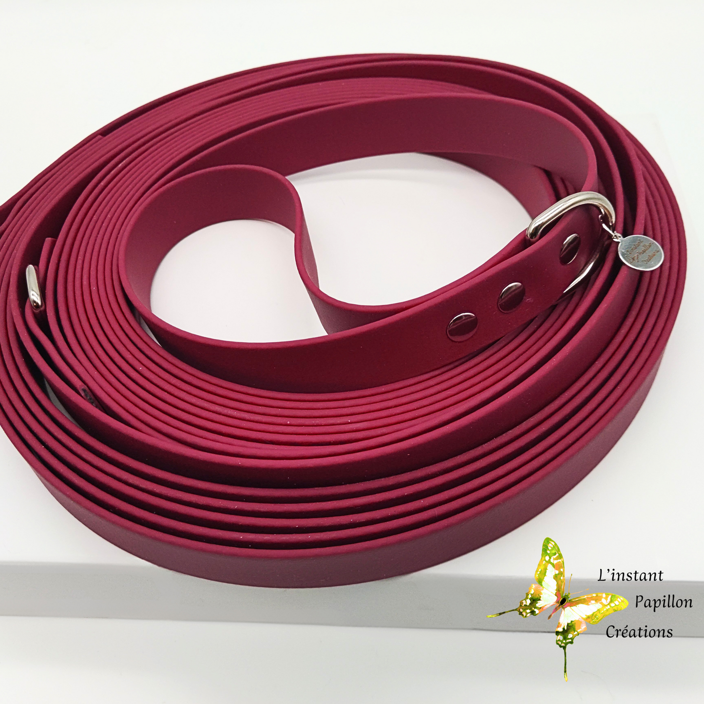Laisse Biothane® longue
