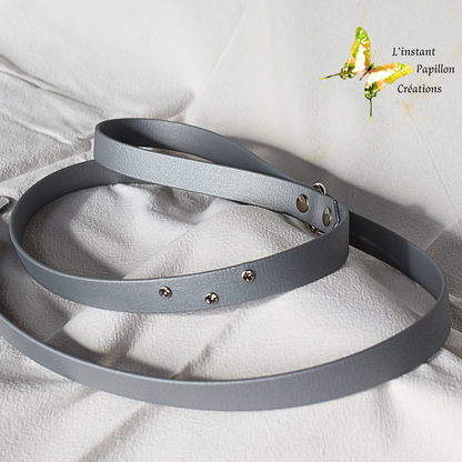 Laisse Biothane® strass
