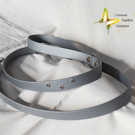 Laisse Biothane® strass