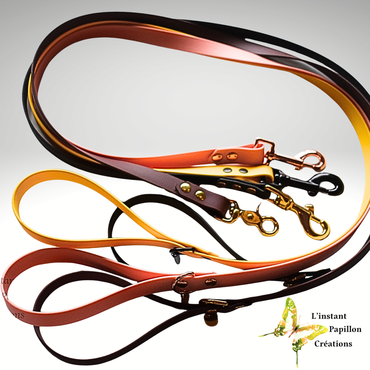 Laisse chat Biothane®