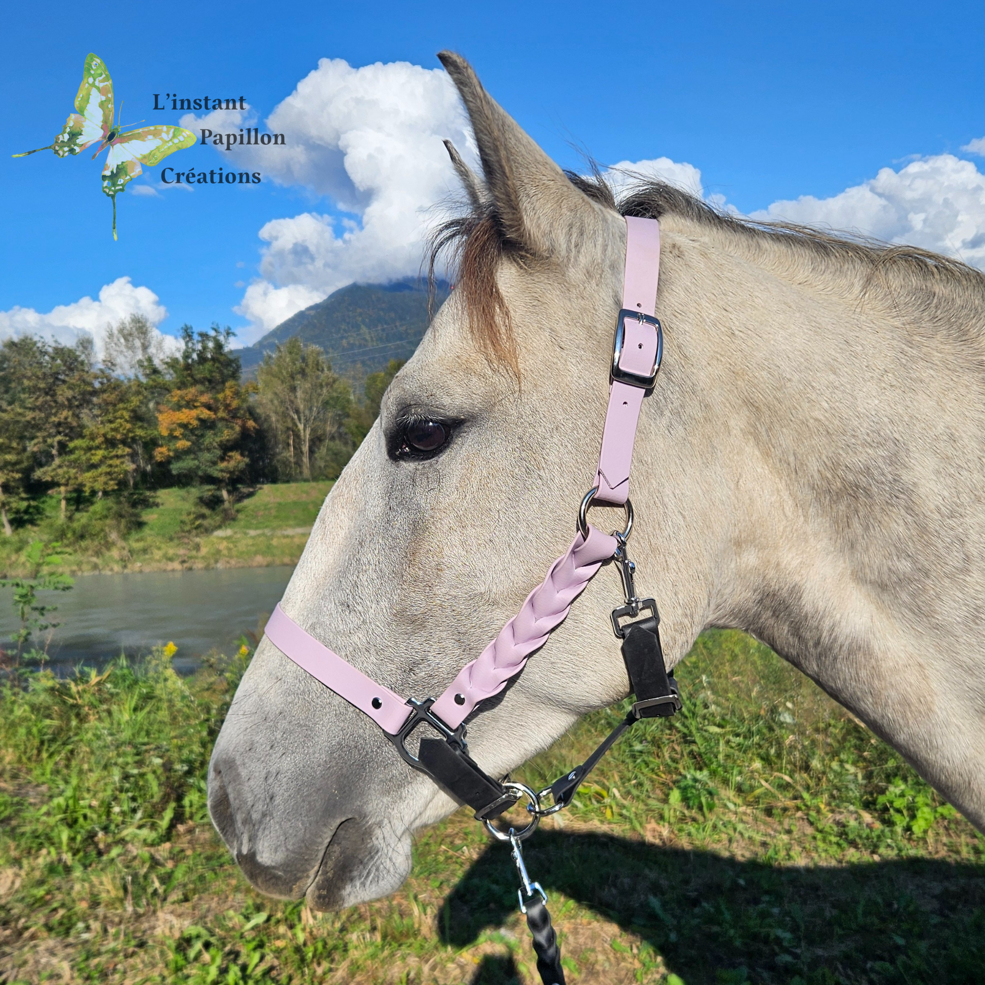 QHP Licol à Nœuds avec Rênes Bordeaux - Boutique Equus Vitalis QHP Licol à Nœuds avec Rênes Bordeaux - Boutique Equus Vitalis