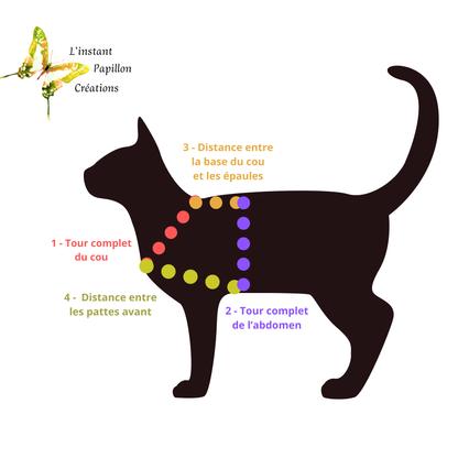 Harnais chat Biothane®