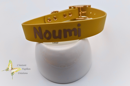 Collier Biothane® personnalisé