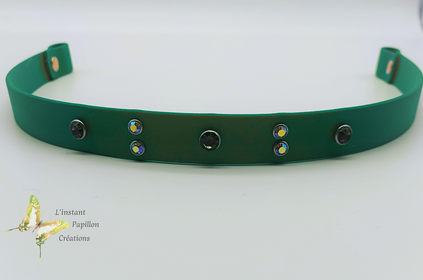 Frontal Biothane® strass