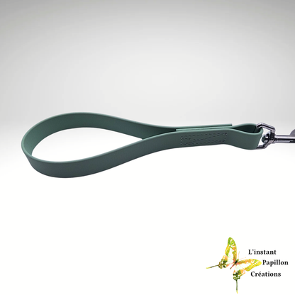 Laisse Biothane® poignée - courte