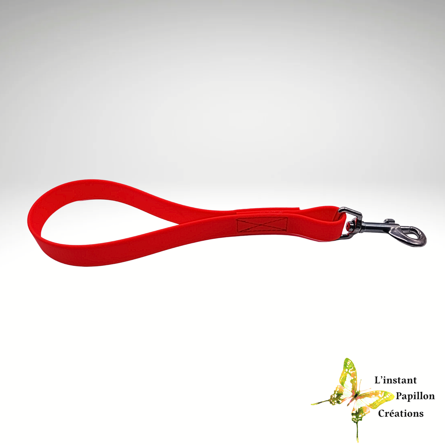 Laisse Biothane® poignée - courte