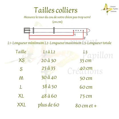 Collier Biothane® doublé